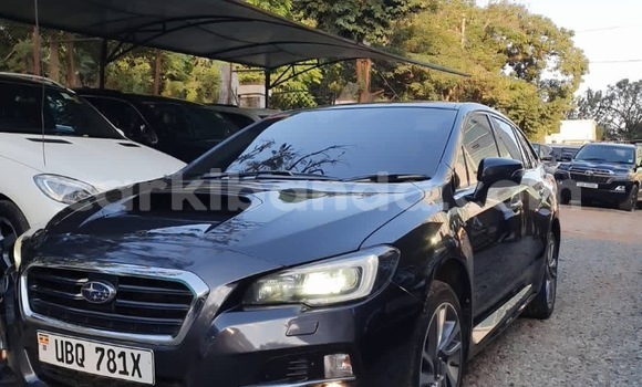 Buy New Subaru Levorg Other Car in Kampala in Uganda Buy New Subaru Levorg Other Car in Kampala in Uganda