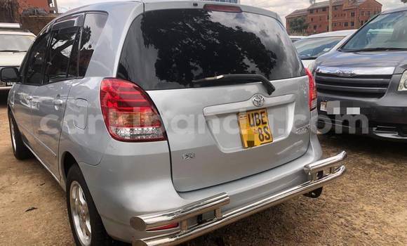 Nunua Ilio tumika Toyota Spacio Fedha Gari ndani ya Kampala nchini Uganda Nunua Ilio tumika Toyota Spacio Fedha Gari ndani ya Kampala nchini Uganda