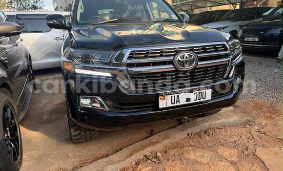 Buy New Toyota Land Cruiser Black Car in Kampala in Uganda Buy New Toyota Land Cruiser Black Car in Kampala in Uganda