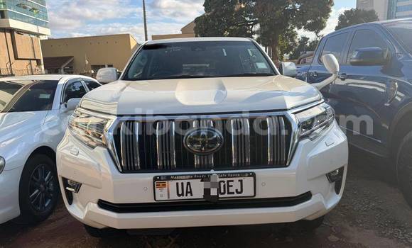 Nunua Mpya Toyota Land Cruiser Prado Nyeupe Gari ndani ya Kampala nchini Uganda Nunua Mpya Toyota Land Cruiser Prado Nyeupe Gari ndani ya Kampala nchini Uganda
