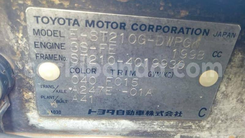 Big with watermark 51527538 1479931562141092 8455072906668408832 n