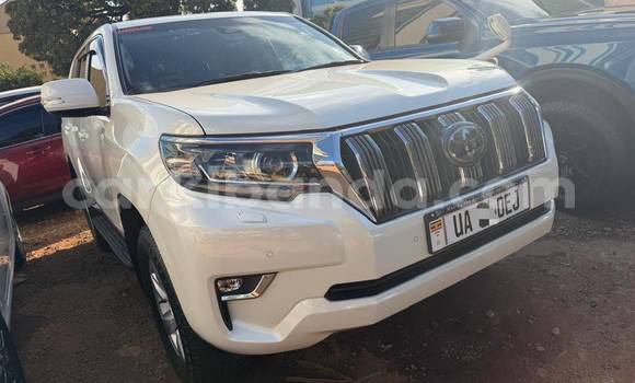 Nunua Mpya Toyota Land Cruiser Prado Nyeupe Gari ndani ya Kampala nchini Uganda Nunua Mpya Toyota Land Cruiser Prado Nyeupe Gari ndani ya Kampala nchini Uganda