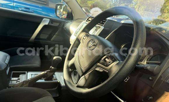 Nunua Mpya Toyota Land Cruiser Prado Nyeupe Gari ndani ya Kampala nchini Uganda Nunua Mpya Toyota Land Cruiser Prado Nyeupe Gari ndani ya Kampala nchini Uganda