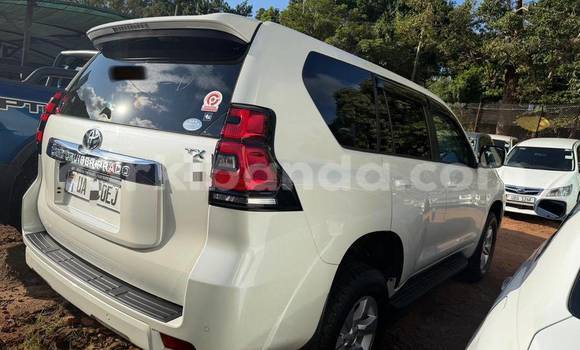 Nunua Mpya Toyota Land Cruiser Prado Nyeupe Gari ndani ya Kampala nchini Uganda Nunua Mpya Toyota Land Cruiser Prado Nyeupe Gari ndani ya Kampala nchini Uganda