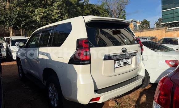 Nunua Mpya Toyota Land Cruiser Prado Nyeupe Gari ndani ya Kampala nchini Uganda Nunua Mpya Toyota Land Cruiser Prado Nyeupe Gari ndani ya Kampala nchini Uganda