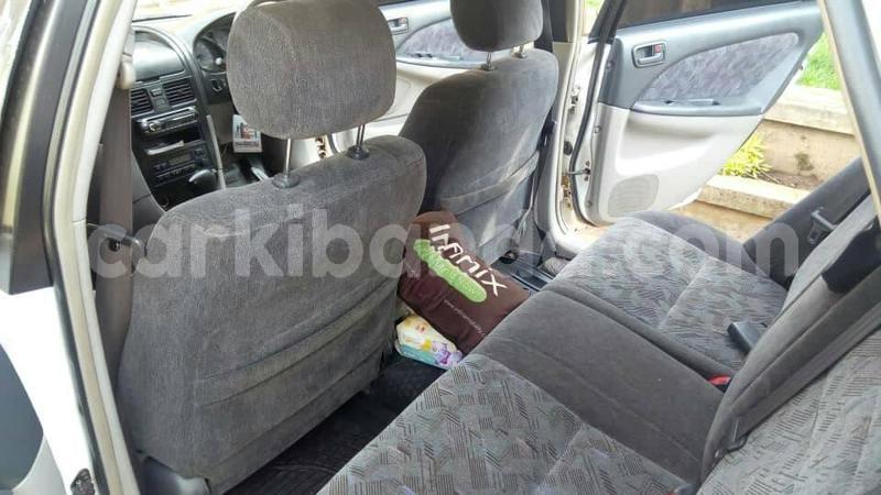 Big with watermark 51435130 1479931555474426 71570020760551424 n