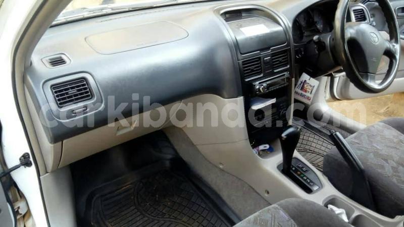 Big with watermark 51599058 1479931538807761 5724825173706670080 n