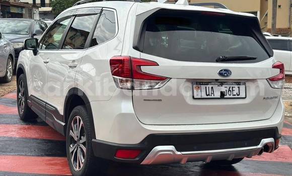 Nunua Mpya Subaru Forester Nyeupe Gari ndani ya Kampala nchini Uganda Nunua Mpya Subaru Forester Nyeupe Gari ndani ya Kampala nchini Uganda