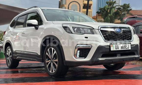 Buy New Subaru Forester White Car in Kampala in Uganda Buy New Subaru Forester White Car in Kampala in Uganda
