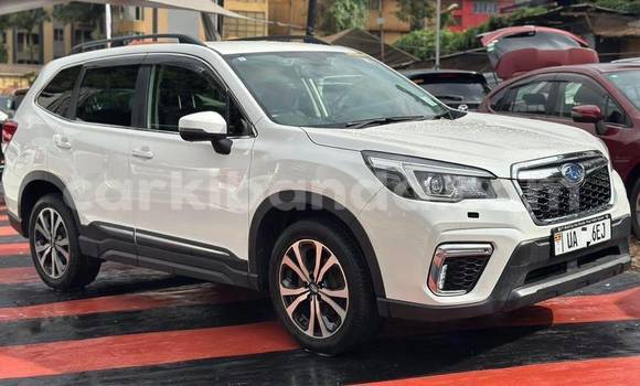 Buy New Subaru Forester White Car in Kampala in Uganda Buy New Subaru Forester White Car in Kampala in Uganda