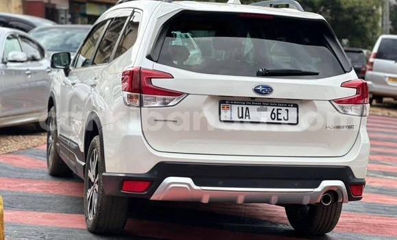 Buy New Subaru Forester White Car in Kampala in Uganda Buy New Subaru Forester White Car in Kampala in Uganda