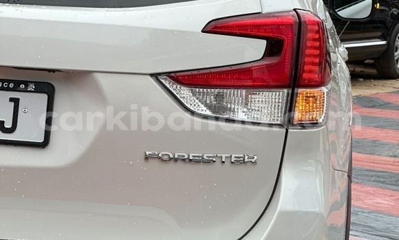 Buy New Subaru Forester White Car in Kampala in Uganda Buy New Subaru Forester White Car in Kampala in Uganda