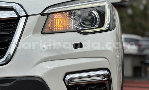 Buy New Subaru Forester White Car in Kampala in Uganda Buy New Subaru Forester White Car in Kampala in Uganda