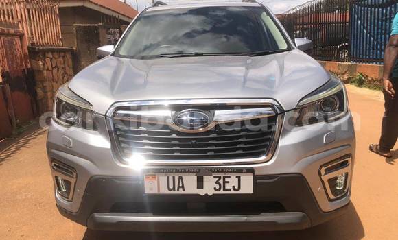 Buy Used Subaru Forester Silver Car in Kampala in Uganda