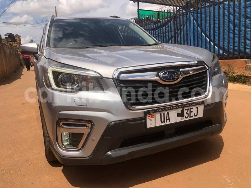 Big with watermark subaru forester uganda kampala 25679