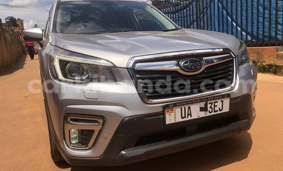 Buy Used Subaru Forester Silver Car in Kampala in Uganda Buy Used Subaru Forester Silver Car in Kampala in Uganda
