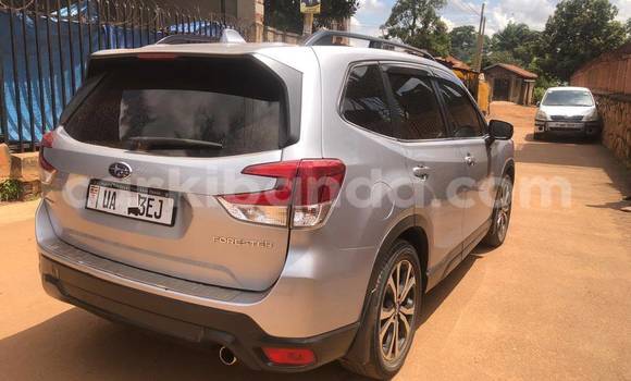 Buy Used Subaru Forester Silver Car in Kampala in Uganda Buy Used Subaru Forester Silver Car in Kampala in Uganda