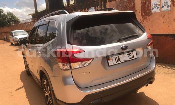 Buy Used Subaru Forester Silver Car in Kampala in Uganda Buy Used Subaru Forester Silver Car in Kampala in Uganda