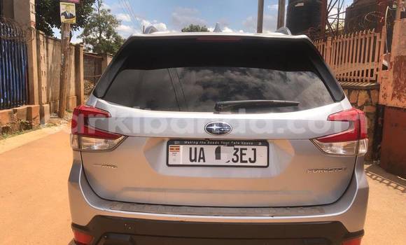 Buy Used Subaru Forester Silver Car in Kampala in Uganda Buy Used Subaru Forester Silver Car in Kampala in Uganda