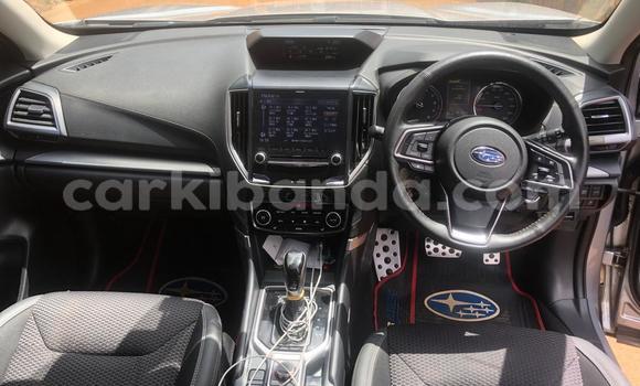 Buy Used Subaru Forester Silver Car in Kampala in Uganda Buy Used Subaru Forester Silver Car in Kampala in Uganda