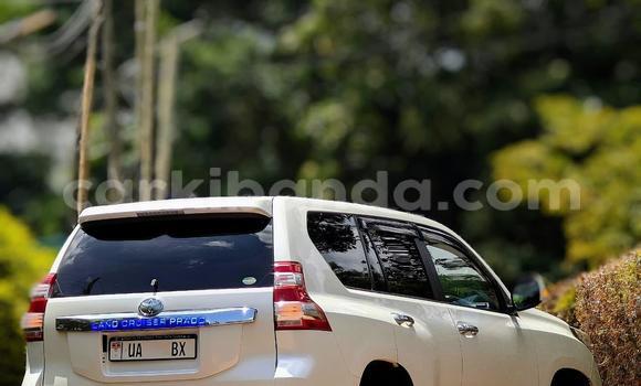 Buy New Toyota Land Cruiser Prado White Car in Kampala in Uganda Buy New Toyota Land Cruiser Prado White Car in Kampala in Uganda