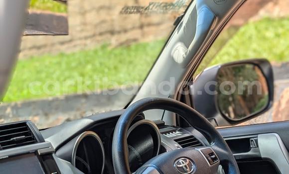 Buy New Toyota Land Cruiser Prado White Car in Kampala in Uganda Buy New Toyota Land Cruiser Prado White Car in Kampala in Uganda