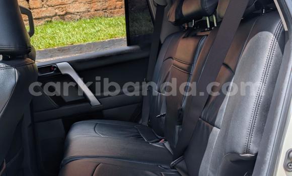 Buy New Toyota Land Cruiser Prado White Car in Kampala in Uganda Buy New Toyota Land Cruiser Prado White Car in Kampala in Uganda