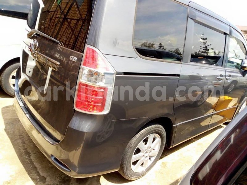 Big with watermark 48370983 749947852039153 732318630074646528 n