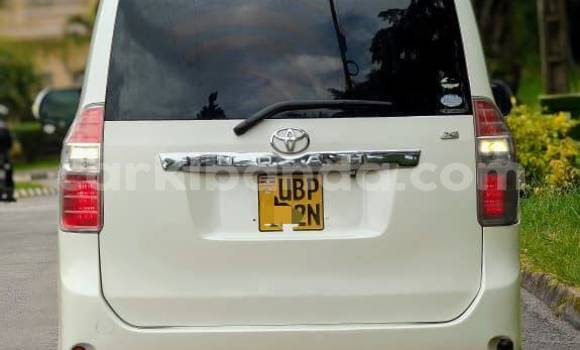 Buy Used Toyota Noah White Car in Kampala in Uganda