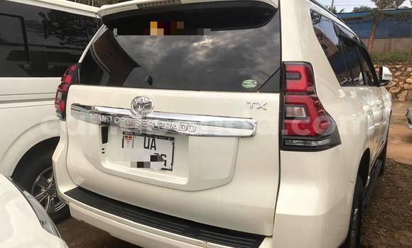 Buy New Toyota Land Cruiser Prado White Car in Kampala in Uganda Buy New Toyota Land Cruiser Prado White Car in Kampala in Uganda