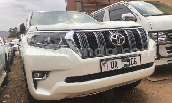 Nunua Mpya Toyota Land Cruiser Prado Nyeupe Gari ndani ya Kampala nchini Uganda Nunua Mpya Toyota Land Cruiser Prado Nyeupe Gari ndani ya Kampala nchini Uganda