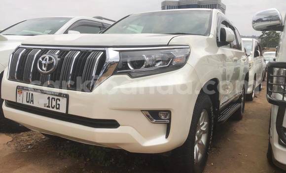 Nunua Mpya Toyota Land Cruiser Prado Nyeupe Gari ndani ya Kampala nchini Uganda Nunua Mpya Toyota Land Cruiser Prado Nyeupe Gari ndani ya Kampala nchini Uganda