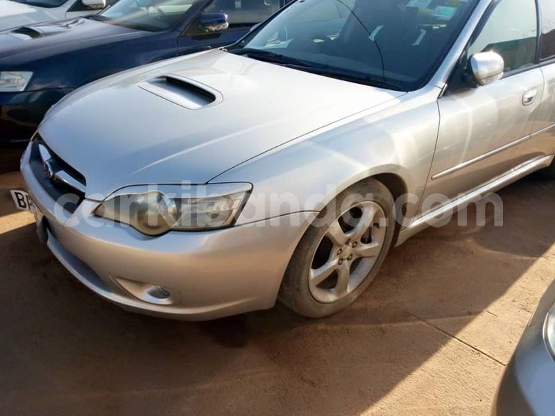 Big with watermark 48383658 749930615374210 2215879799597957120 n