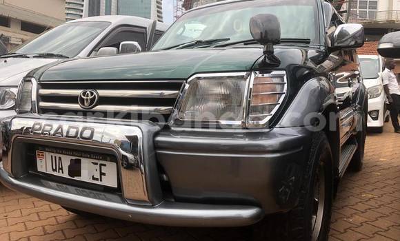 Nunua Mpya Toyota Prado Nyingine Gari ndani ya Kampala nchini Uganda Nunua Mpya Toyota Prado Nyingine Gari ndani ya Kampala nchini Uganda