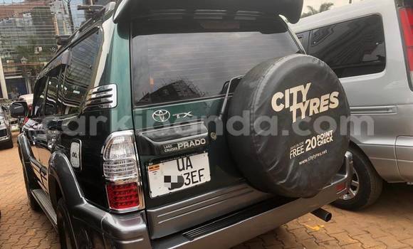 Nunua Mpya Toyota Prado Nyingine Gari ndani ya Kampala nchini Uganda Nunua Mpya Toyota Prado Nyingine Gari ndani ya Kampala nchini Uganda