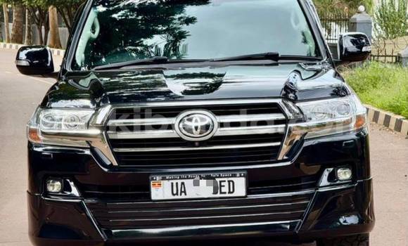 Buy New Toyota Land Cruiser White Car in Kampala in Uganda Buy New Toyota Land Cruiser White Car in Kampala in Uganda