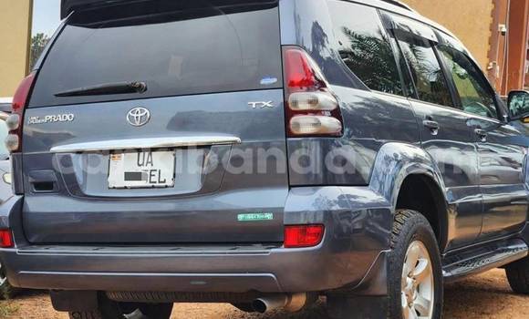 Nunua Mpya Toyota Land Cruiser Prado Nyingine Gari ndani ya Kampala nchini Uganda Nunua Mpya Toyota Land Cruiser Prado Nyingine Gari ndani ya Kampala nchini Uganda