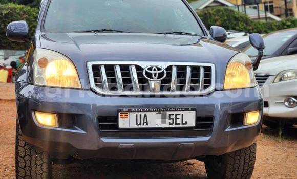 Buy New Toyota Land Cruiser Prado Other Car in Kampala in Uganda Buy New Toyota Land Cruiser Prado Other Car in Kampala in Uganda