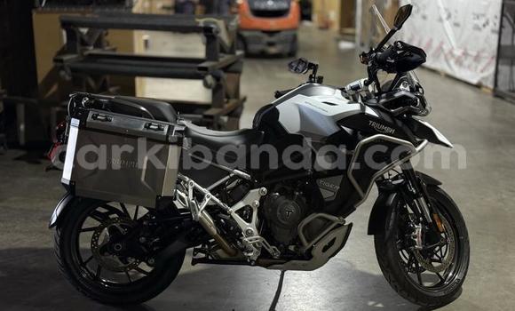 Buy Used Triumph Tiger Beige Bike in Kampala in Uganda