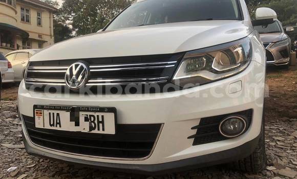 Buy New Volkswagen Tiguan White Car in Kampala in Uganda Buy New Volkswagen Tiguan White Car in Kampala in Uganda