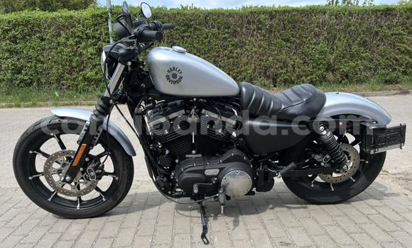 Buy Used Harley Davidson IRON White Bike in Buwenge in Eastern