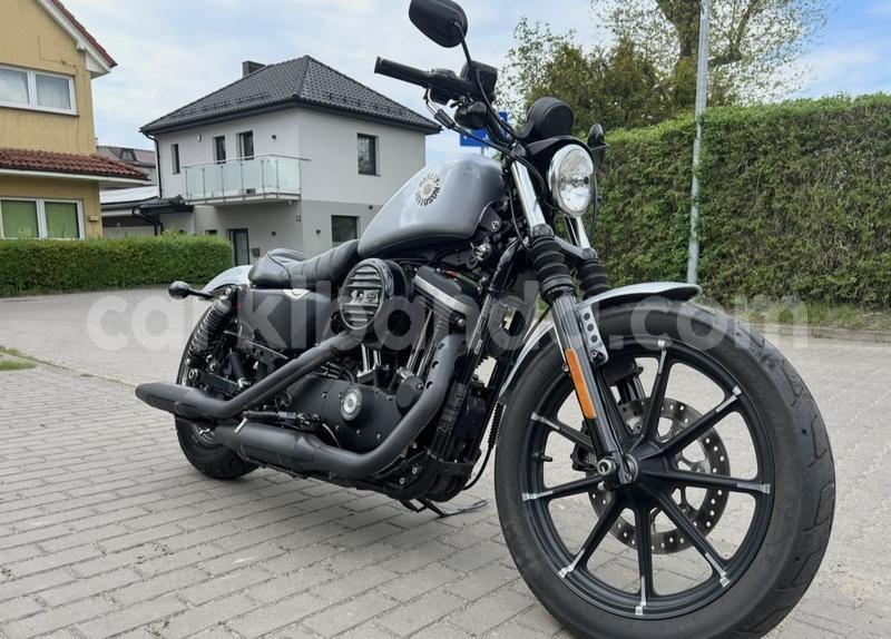 Big with watermark harley davidson iron eastern buwenge 25754