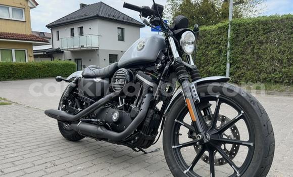 Buy Used Harley Davidson IRON White Bike in Buwenge in Eastern Buy Used Harley Davidson IRON White Bike in Buwenge in Eastern