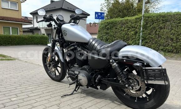 Buy Used Harley Davidson IRON White Bike in Buwenge in Eastern Buy Used Harley Davidson IRON White Bike in Buwenge in Eastern