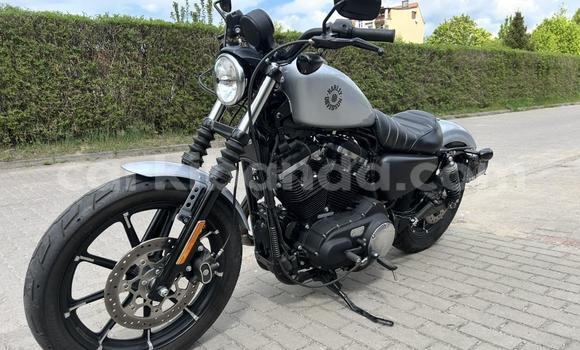 Buy Used Harley Davidson IRON White Bike in Buwenge in Eastern Buy Used Harley Davidson IRON White Bike in Buwenge in Eastern