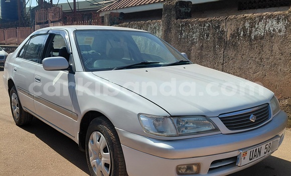 Nunua Ilio tumika Toyota Premio Nyeupe Gari ndani ya Kampala nchini Uganda Nunua Ilio tumika Toyota Premio Nyeupe Gari ndani ya Kampala nchini Uganda
