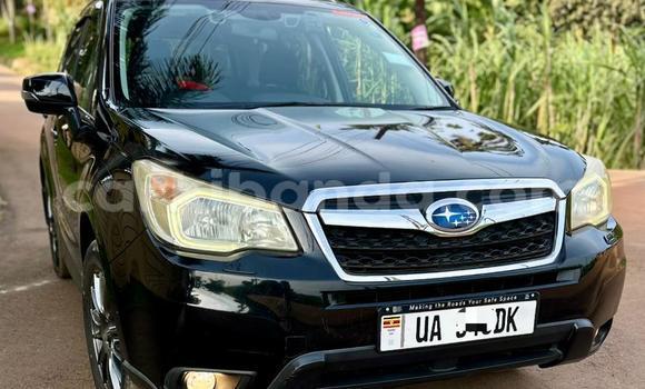 Nunua Mpya Subaru Forester Nyeusi Gari ndani ya Kampala nchini Uganda Nunua Mpya Subaru Forester Nyeusi Gari ndani ya Kampala nchini Uganda