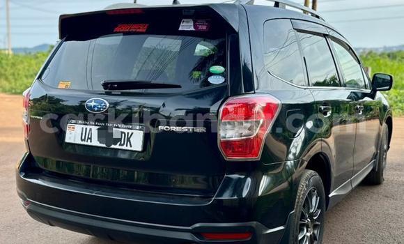 Nunua Mpya Subaru Forester Nyeusi Gari ndani ya Kampala nchini Uganda Nunua Mpya Subaru Forester Nyeusi Gari ndani ya Kampala nchini Uganda