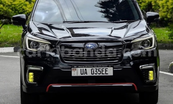 Buy New Subaru Forester Black Car in Kampala in Uganda Buy New Subaru Forester Black Car in Kampala in Uganda