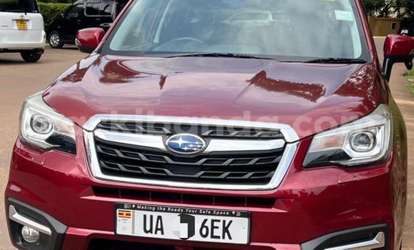 Acheter Neuf Voiture Subaru Forester Rouge à Kampala, Ouganda